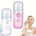 Mini Facial Steamer Nano Mist Sprayer